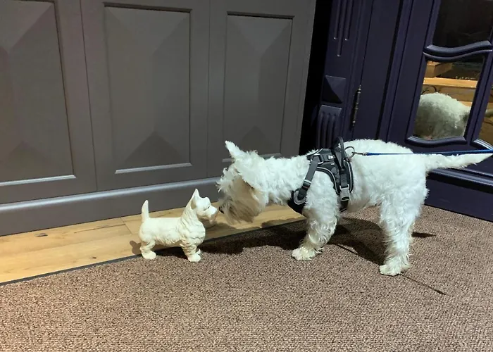 Boutique Kristofs ホテル リガ