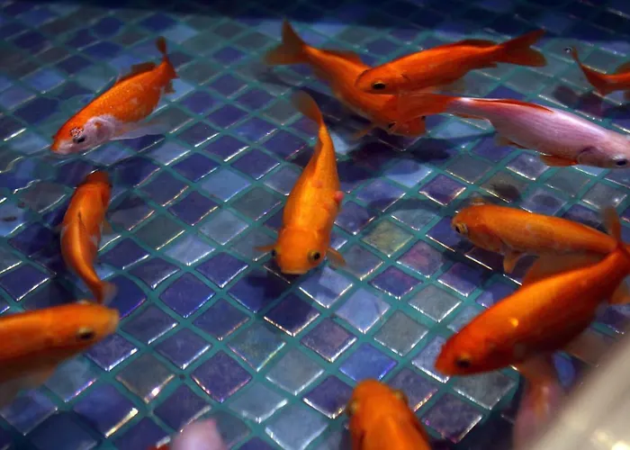 Hotell Boutique Kristofs Riga