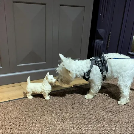 Boutique Kristofs Hotel Riga